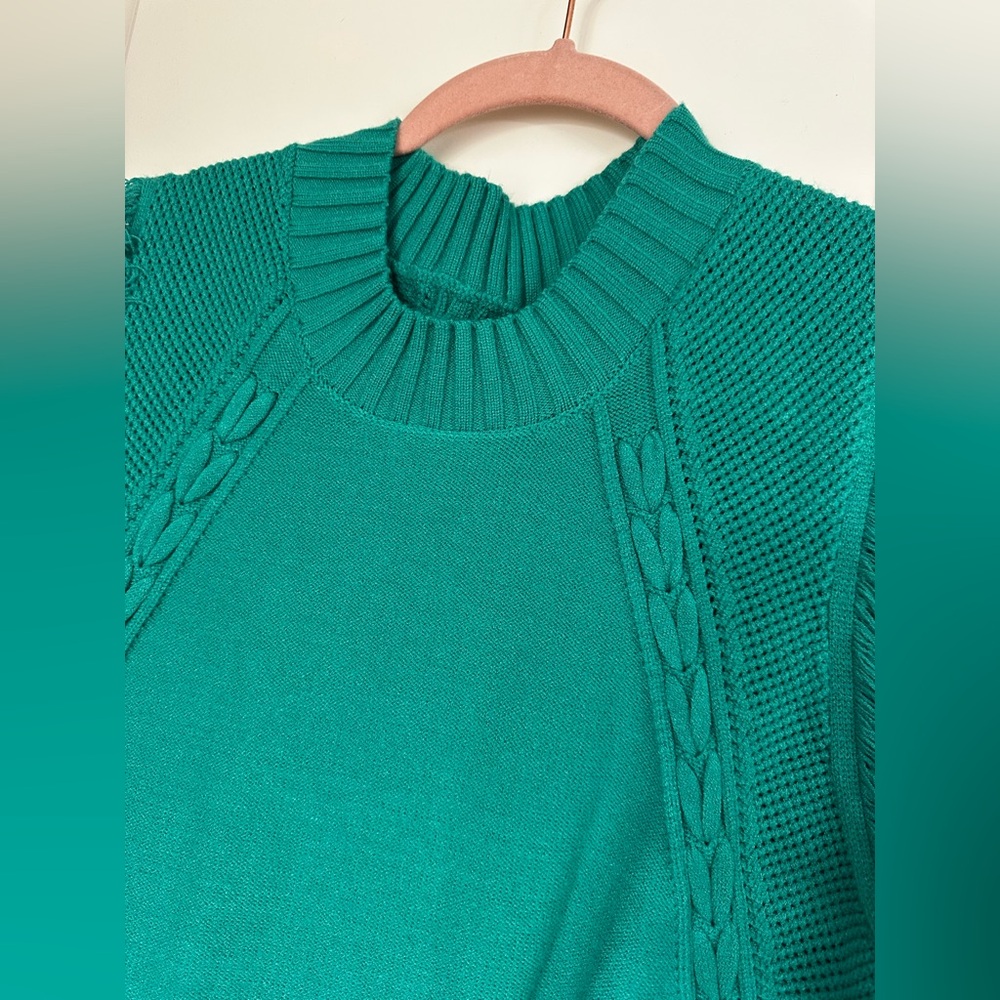 Sleeveless Fringe Sweater - Picture 11 of 12